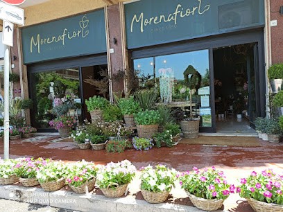 Morena Fiori, Fiorista a Avellino