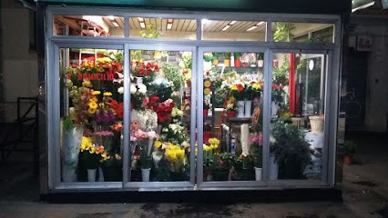 Giardino Fiorito Di Balzi Carlo, Fiorista a Roma