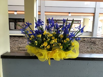 La Giostra Dei Fiori, Fiorista a Sulmona