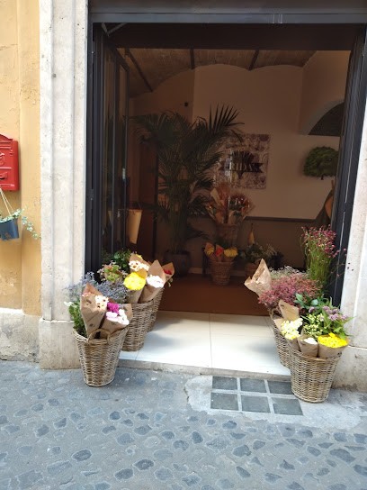 Frida's Roma - Via Ancona | Italian Flower Stores, Fiorista a Roma