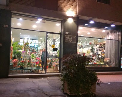 Fiorista Bovina, Fiorista a Pavia