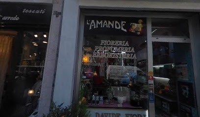 Davide Fiori, Fiorista a Torino