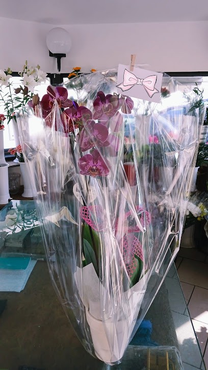 I Fiori Di Anto, Fiorista a Varazze