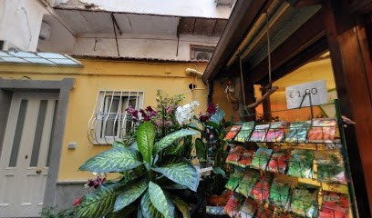 Piante Fiori E Addobbi Terrecuso, Fiorista a Sorrento