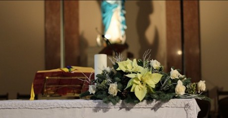 Piante E Fiori AURORA Di Marcella Drago, Fiorista a Ucria