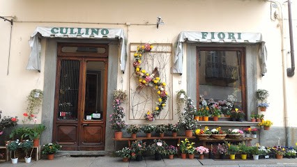 Cullino Fiori (S.N.C.), Fiorista a Torre Pellice