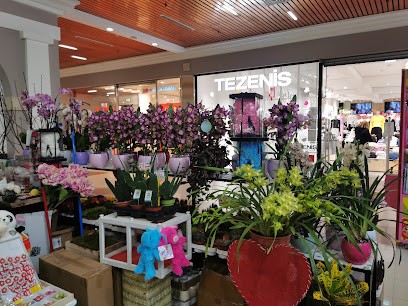 Pavan Floricoltura, Fiorista a Loreo