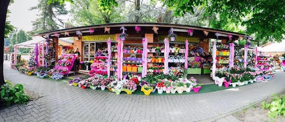 Il Chiosco Fiorito, Fiorista a Novara