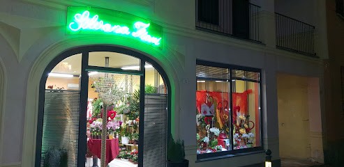 Mischiatti Sasso Silvana, Fiorista a Sant'Albano Stura