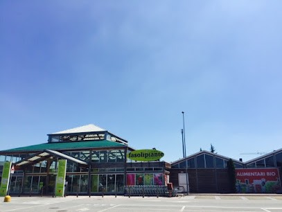 Fasoli Piante Vercelli, Fiorista a Vercelli