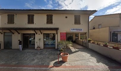 Orchidea 2000 Sas Di Carrara Miranda, Fiorista a Spello