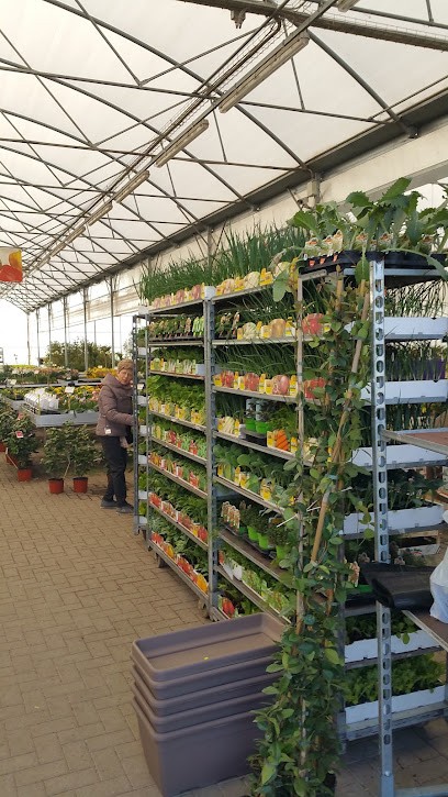 Ikebana Floricoltura - Giulini Elvio, Fiorista a Oleggio