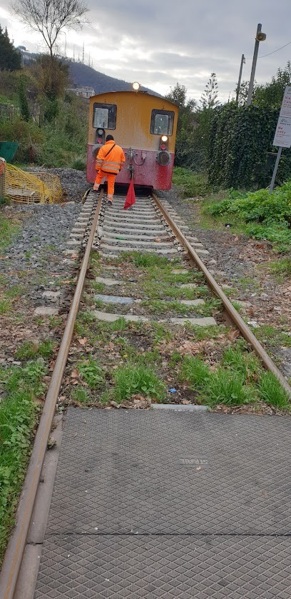 Cibelli Luigi, Fiorista a Salerno