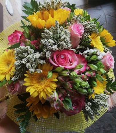 Il Prato Fiorito Di Manenti & Zaupa, Fiorista a Vanzaghello