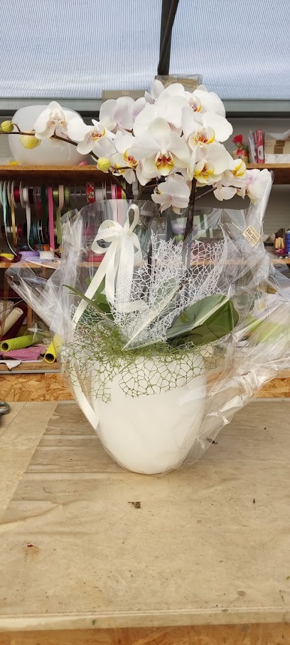 Flor 2000 Vivaio, Fiorista a Erbusco