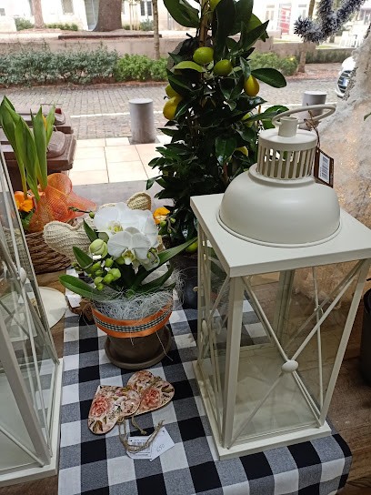 Fiori Fausta, Fiorista a Cormons