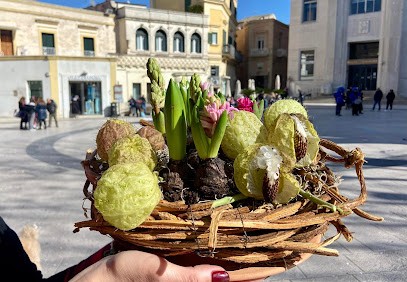 Fiorincentro | Floral Designer Mario Didio, Fiorista a Matera
