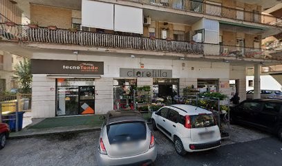 Fioraio Cassino, Fiorista a Cassino