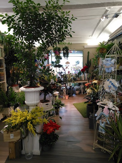 Il Giardino Di Pan Di Morelli Antonio, Fiorista a Cuneo