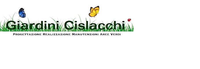 Giardini Cislacchi Di Cislacchi Mattia, Fiorista a Fontanella