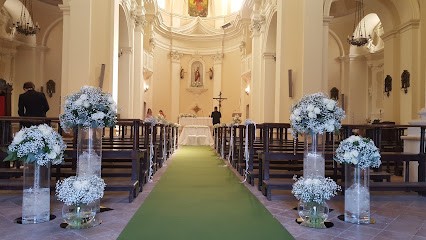 Guzmania Fiori E Piante, Fiorista a Castrocielo