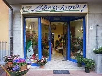 Fioreria Sbocciando, Fiorista a Pontassieve