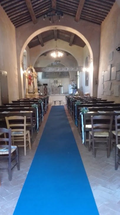 Planet Flowers Pofi, Fiorista a Pofi