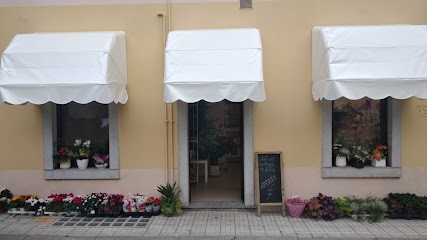 Fioreria Antica Bottega Del Fiore, Fiorista a Gorizia