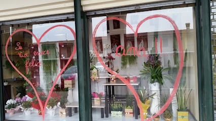 Il colore dei fiori1991, Fiorista a Borgo San Giacomo