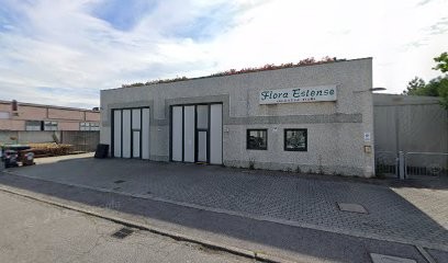 Flora Estense Srl, Fiorista a Ferrara