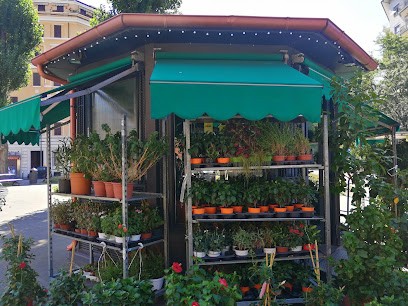 FIORI CLODIO Snc, Fiorista a Roma