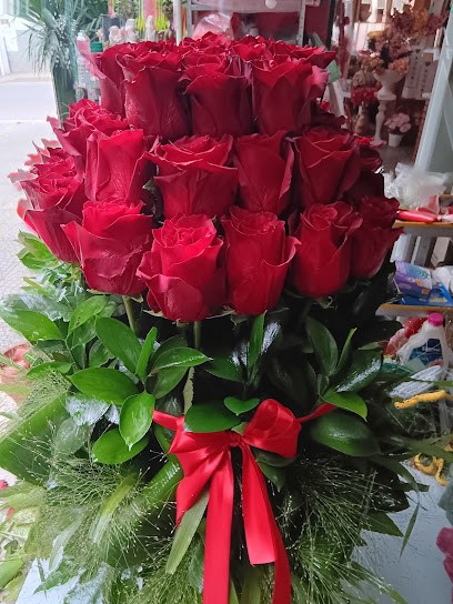 Glasshauses Piante E Fiori, Fiorista a Lusciano