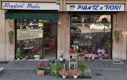 NEGOZIO DI FIORI REGGIANI, Fiorista a Modena
