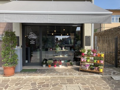 Fioramelia Di Bertelli Amelia Eleonora, Fiorista a Castelli Calepio