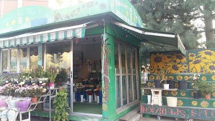 Il Chiosco Di Via Verdi, Fiorista a Corsico