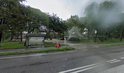 Bottaini Emilia Snc, Fiorista a Ravenna