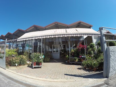 Floricoltura Eredi Agostini Gianni, Fiorista a Correzzola