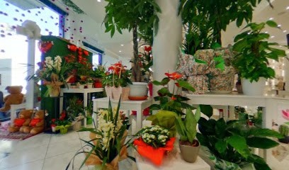Flowers Shop, Fiorista a Francavilla Fontana