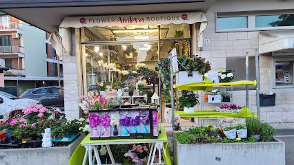 AMBRA FLOWER BOUTIQUE, Fiorista a Castelfranco Emilia