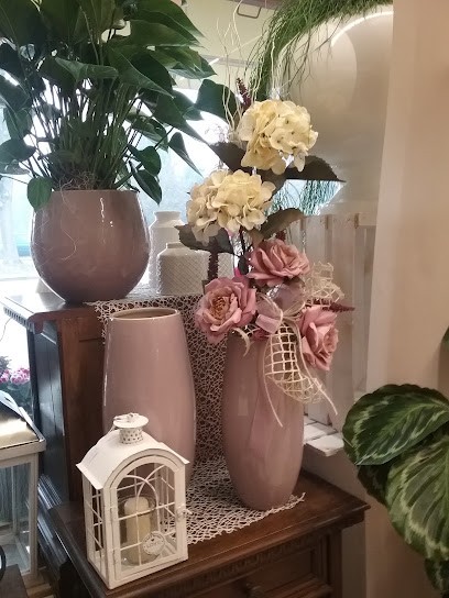 Fioreria Gardenia, Fiorista a Zero Branco