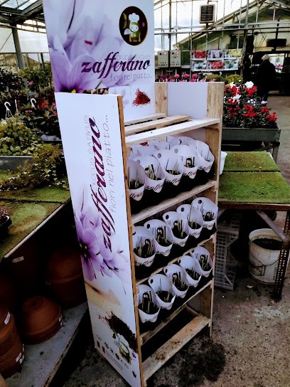 Marelli Stefano - Fiorista, Fiorista a Capiago Intimiano