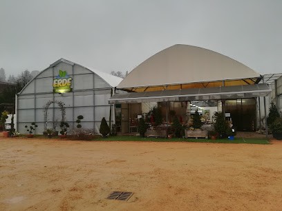 ERDE Floricoltura - Piante - Fiori - Giardini, Fiorista a Induno Olona