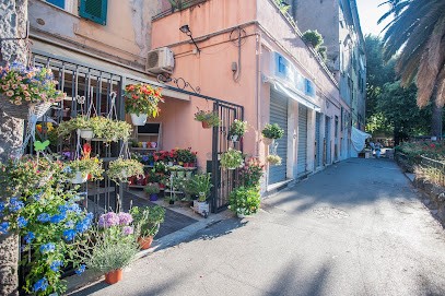 L'Elfo Piante E Fiori, Fiorista a Genova