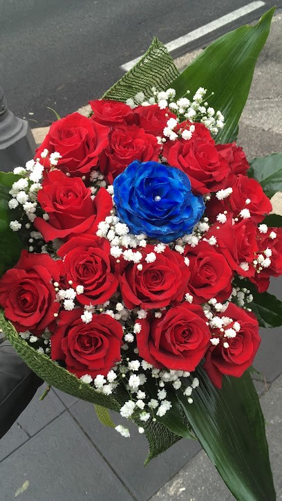 Di Napoli Maria Laura, Fiorista a Velletri