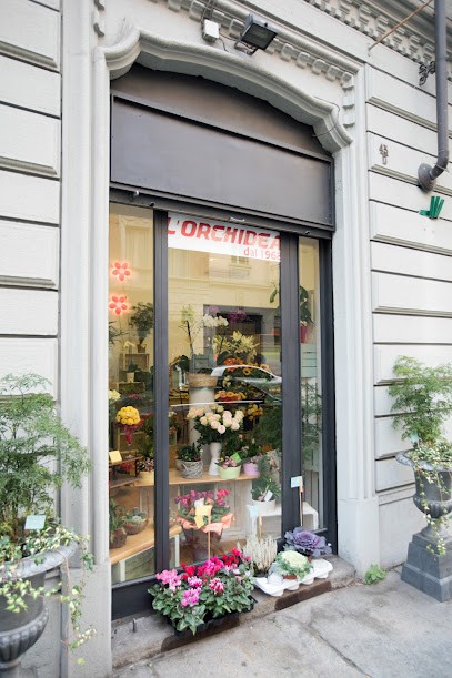 L’Orchidea Dal 1968, Fiorista a Torino