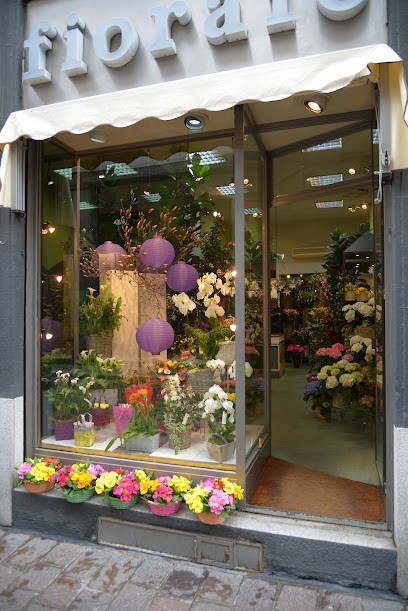 Fioraio Sergio Di Boccardi Andrea, Fiorista a Pavia