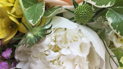 FLOWERS DI MANCINI STEFANIA & C. SAS FIORI E PIANTE, Fiorista a Porto Sant'Elpidio