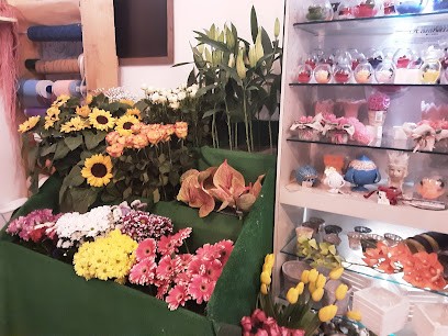 CLORIS piantare con arte, Fiorista a Castellana Grotte