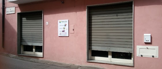 Piante e Fiori di Varricchio Silvio, Fiorista a San Leucio del Sannio