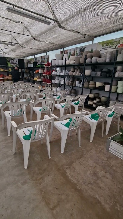 Floricoltura Rodighiero, Fiorista a Sandrigo